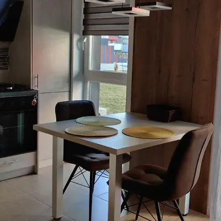 아파트 Apartament Sobarilor 38 *