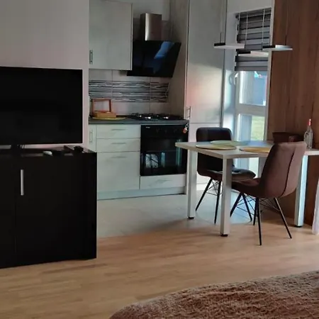 Apartament Sobarilor 38 Apartment